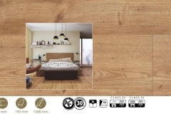 Cedry Libanu D3344