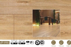Hikora Disco D3481