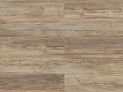nature-rustic-pine